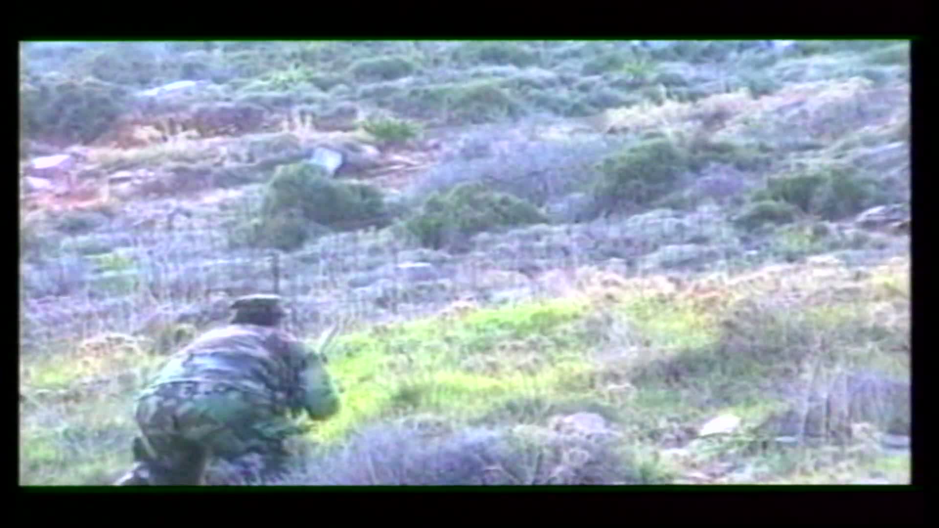 ΑΚΟΥΝΑ ΜΑΤΑΤΑ 1_1